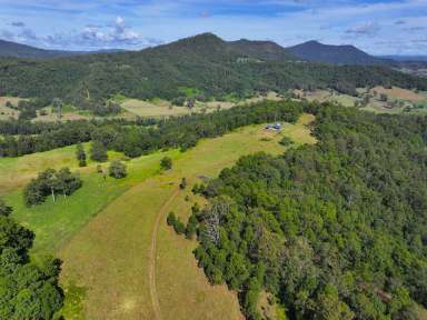 Farm Sold - NSW - Kyogle - 2474 - NESTLED IN THE TREE TOP  (Image 2)