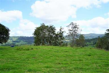 Farm For Sale - NSW - Casino - 2470 - TUNGLEBUNG GRAZING BLOCK  (Image 2)