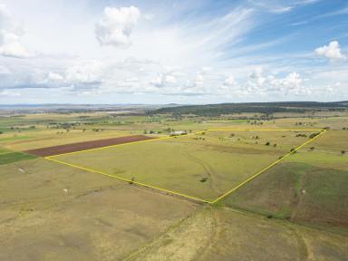 Farm Auction - QLD - Greenmount - 4359 - 'Aprilia Park' - 116.9 Acres - Prime Location - Well Watered Horse or Cattle Property  (Image 2)