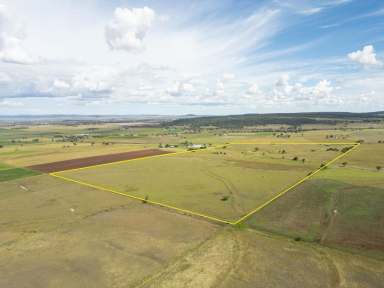 Farm Auction - QLD - Greenmount - 4359 - 'Aprilia Park' - 116.9 Acres - Prime Location - Well Watered Horse or Cattle Property  (Image 2)