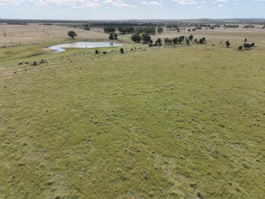 Farm Auction - QLD - Baralaba - 4702 - Quality Fattening Country  (Image 2)