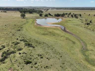 Farm Sold - QLD - Baralaba - 4702 - Quality Fattening Country  (Image 2)