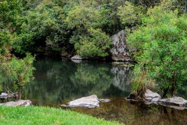 Farm For Sale - QLD - Ravenshoe - 4888 - Vine Creek Cottage, what a stunner.  (Image 2)