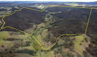 Farm For Sale - NSW - Binda - 2583 - Dan's  (Image 2)