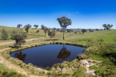 Farm For Sale - NSW - Crookwell - 2583 - Somerset  (Image 2)