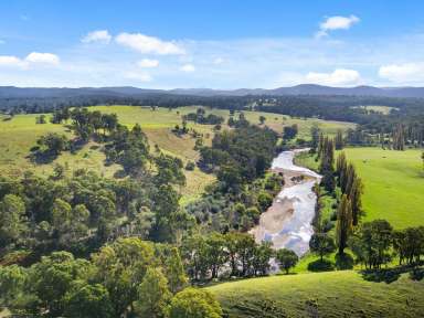 Farm Sold - VIC - Bruthen - 3885 - ACREAGE ON THE TAMBO RIVER  (Image 2)