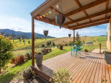 Farm For Sale - NSW - Cobargo - 2550 - COUNTRY COTTAGE  (Image 2)