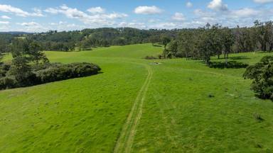 Farm For Sale - NSW - Dorrigo - 2453 - Large Scale Grazing with Excellent Pastures, Water & Infrastructure  (Image 2)