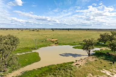 Farm Auction - QLD - Flinton - 4422 - "Dorne", Retirement beckons... 

A centralized and versatile Cattle property that will suit a number of buyers requirements.  (Image 2)