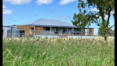 Farm Auction - QLD - Tara - 4421 - Western Downs Grazing: Your Investment Opportunity  (Image 2)