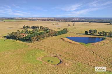 Farm For Sale - VIC - Giffard West - 3851 - "OMARU"  (Image 2)