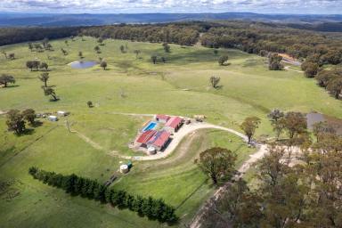 Farm For Sale - NSW - Crookwell - 2583 - 'Bella Vista'  (Image 2)