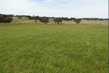 Farm For Sale - NSW - Crookwell - 2583 - Building Blocks  (Image 2)