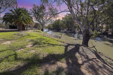 Farm Auction - NSW - Moulamein - 2733 - Simply The Best  (Image 2)