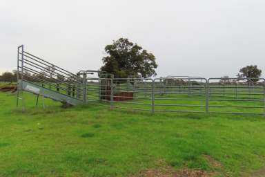 Farm For Sale - WA - West Pinjarra - 6208 - West Pinjarra Cattle Country 134.99 ha* (335.56 Ac*)  (Image 2)