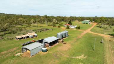 Farm For Sale - QLD - Ellangowan - 4361 - "Boundary Farm" Eastern Darling Downs Farming  (Image 2)