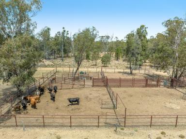 Farm For Sale - QLD - Punchs Creek - 4357 - Take it to the next level  (Image 2)