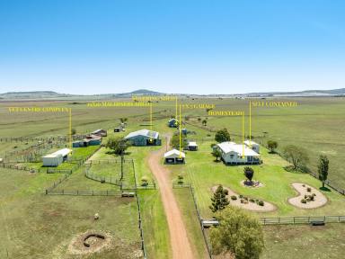 Farm For Sale - QLD - Nobby - 4360 - 'Harmony Heights' - Versatility & Productivity - 2 titles - Water Licence - 172* acres  (Image 2)