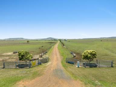 Farm Sold - QLD - Nobby - 4360 - 'Harmony Heights' - Versatility & Productivity - 2 titles - Water Licence - 172* acres  (Image 2)