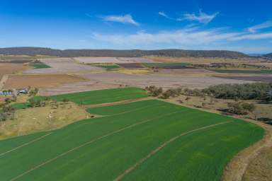 Farm Sold - QLD - Pilton - 4361 - Pilton's Finest Country - Irrigation - 156 acres in 3 titles - Family Homestead & Top Lifestyle!  (Image 2)