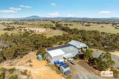 Farm For Sale - VIC - Crowlands - 3377 - Dog Rock Winery I Boutique Wine Business - ECO Friendly - Self Sustainable Off Grid - Exceptional Lifestyle Opportunity  (Image 2)