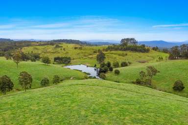 Farm Auction - NSW - Glen Martin - 2321 - AUCTION IF NOT SOLD PRIOR  (Image 2)