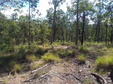 Farm For Sale - NSW - Tabulam - 2469 - Pretty Gully Getaway  (Image 2)