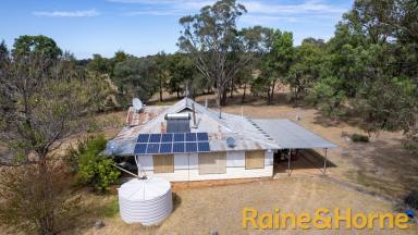Farm Auction - NSW - Ballimore - 2830 - Lifestyle Opportunity Awaits...  (Image 2)