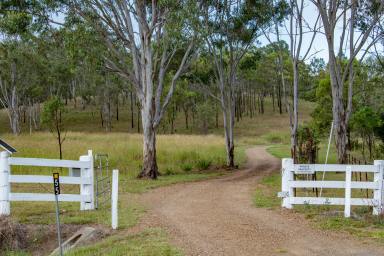 Farm Auction - QLD - Taromeo - 4314 - Grand 205* Acre Country Estate With Big City Luxury  (Image 2)