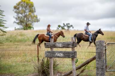 Farm Auction - QLD - Taromeo - 4314 - Grand 205* Acre Country Estate With Big City Luxury  (Image 2)