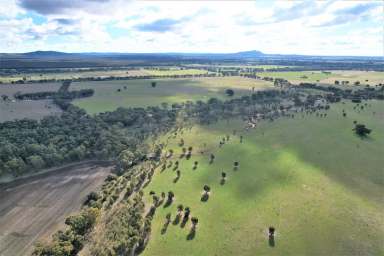 Farm For Sale - VIC - Kurting - 3517 - INGLEWOOD KURTING DISTRICT  (Image 2)