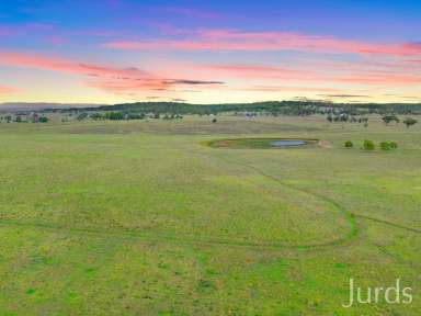 Farm Sold - NSW - Sedgefield - 2330 - OFF MARKET SALE  (Image 2)