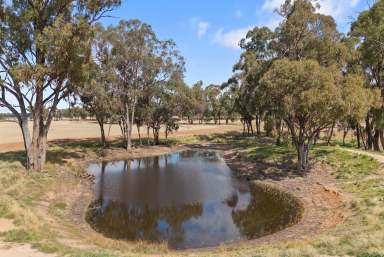 Farm Sold - VIC - Derby - 3516 - "Blue Hills" Derby  (Image 2)