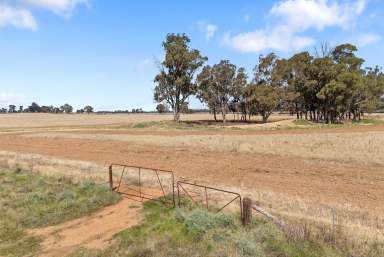 Farm Sold - VIC - Derby - 3516 - "Blue Hills" Derby  (Image 2)