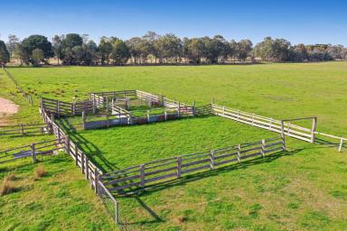 Farm For Sale - VIC - Hillside - 3875 - 'White Acres' – 163 acres, minutes from Bairnsdale.  (Image 2)