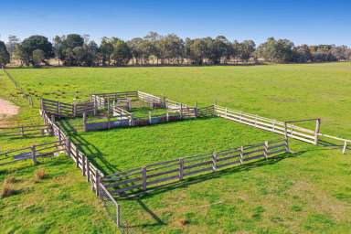 Farm Sold - VIC - Hillside - 3875 - 'White Acres' – 163 acres, minutes from Bairnsdale.  (Image 2)