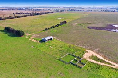 Farm For Sale - VIC - Hillside - 3875 - 'White Acres' – 163 acres, minutes from Bairnsdale.  (Image 2)