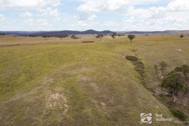 Farm For Sale - NSW - Gulgong - 2852 - 259 ACRES (104.9 HECTARES) OF OPEN FARMLAND WITH BUILDING ENTITLEMENT  (Image 2)