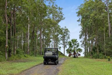 Farm For Sale - QLD - Ringtail Creek - 4565 - ​Riverpark Resplendence, Noosa Hinterland Acreage  (Image 2)