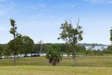 Farm For Sale - QLD - Ringtail Creek - 4565 - ​Riverpark Resplendence, Noosa Hinterland Acreage  (Image 2)