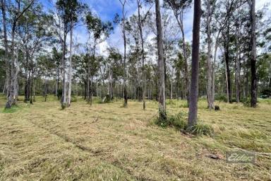 Farm For Sale - QLD - Glenwood - 4570 - A FIND THAT IS RARE!  (Image 2)