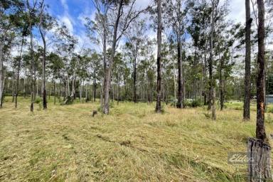 Farm For Sale - QLD - Glenwood - 4570 - A FIND THAT IS RARE!  (Image 2)