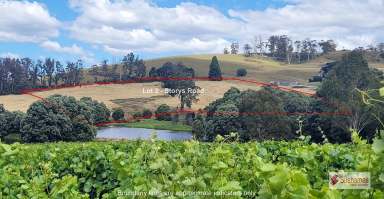 Farm For Sale - TAS - Lebrina - 7254 - Rural Lifestyle Land - 4.8 hectares overlooking neighbouring vineyards  (Image 2)