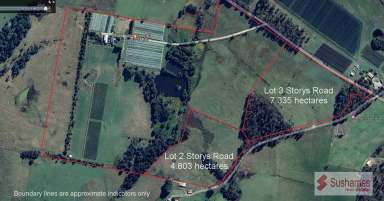 Farm For Sale - TAS - Lebrina - 7254 - Rural Lifestyle Land - 7.335 hectares neighbouring vineyard slopes - Under Contract  (Image 2)