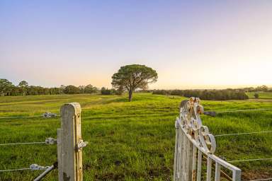 Farm For Sale - NSW - Paterson - 2421 - 'Kalimna'  Iconic Hunter Valley Rural Holding  (Image 2)