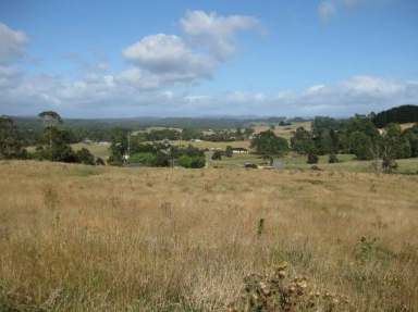 Farm For Sale - TAS - Flowerdale - 7325 - Edge of Town Holding  (Image 2)