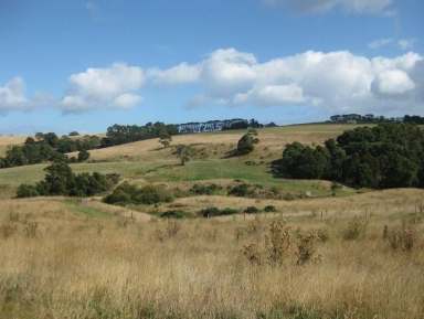 Farm For Sale - TAS - Flowerdale - 7325 - Edge of Town Holding  (Image 2)