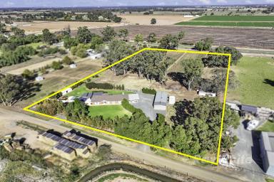 Farm For Sale - VIC - Ballendella - 3561 - Pure Country Bliss that ticks all the boxes!!  (Image 2)