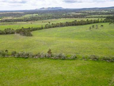 Farm Sold - QLD - Waterloo - 4673 - GREAT STARTER BLOCK  (Image 2)