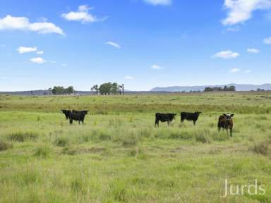 Farm Sold - NSW - Sedgefield - 2330 - A Stunning Blank Canvas  (Image 2)